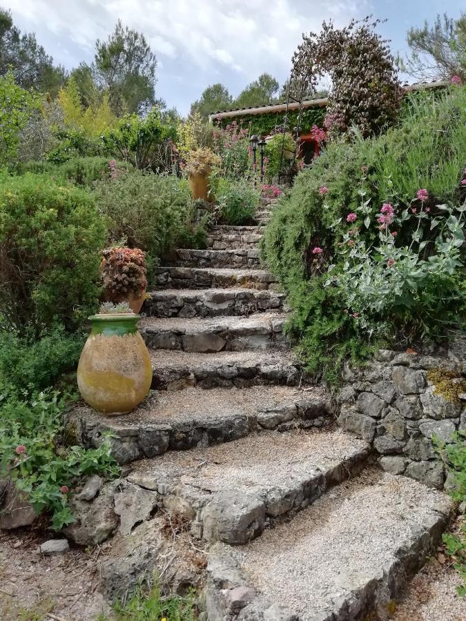 Chambre D'Hote Le Mas Des Romarins Les Arcs-sur-Argens Экстерьер фото