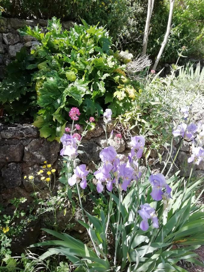 Chambre D'Hote Le Mas Des Romarins Les Arcs-sur-Argens Экстерьер фото