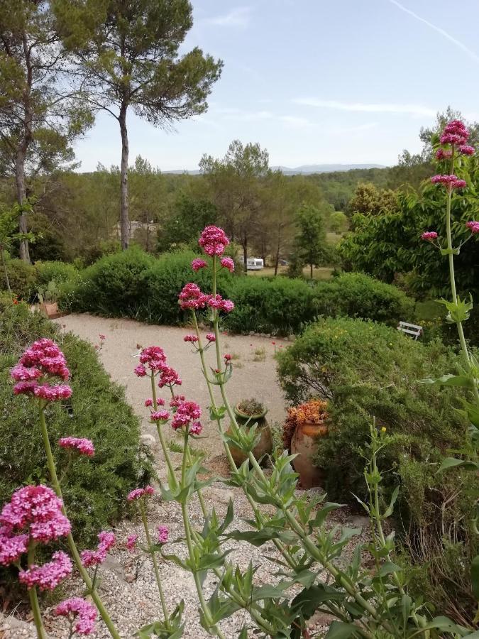 Chambre D'Hote Le Mas Des Romarins Les Arcs-sur-Argens Экстерьер фото